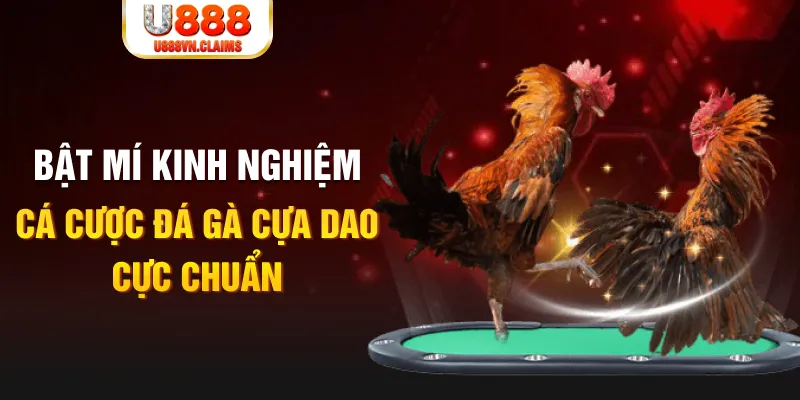 ae888 lan trong baccarat, ai là người chia bài chính？