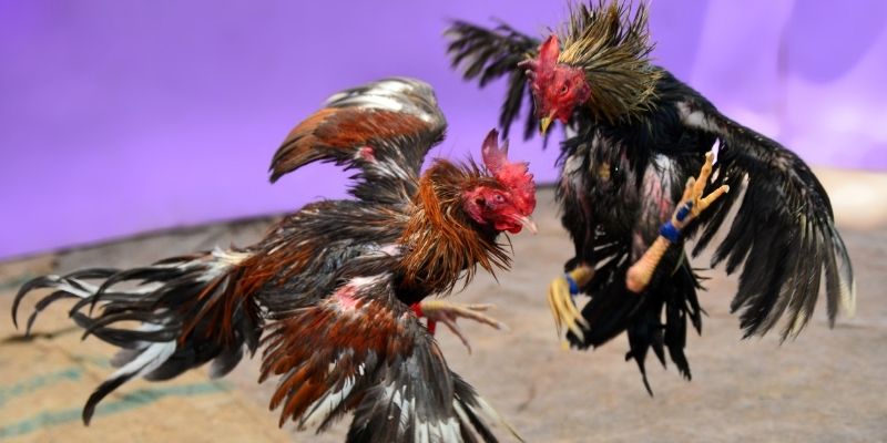 ae888 lan nổ hũ tiếng anh là gì