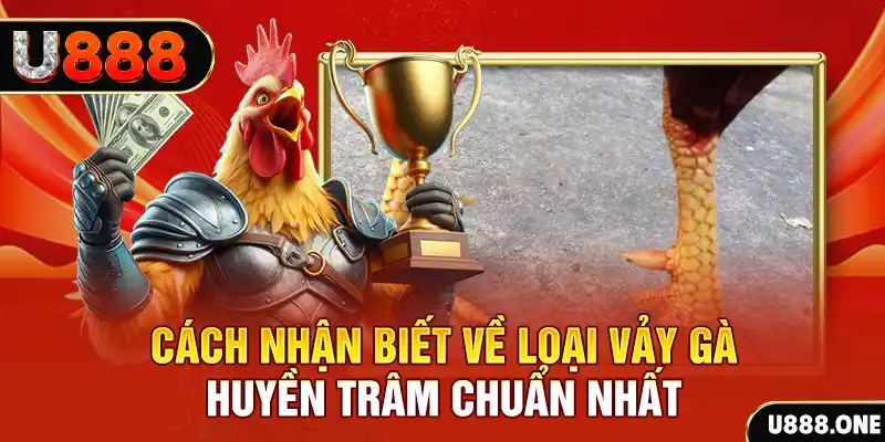 ae888 lan Chú hề Patty tuổi teen