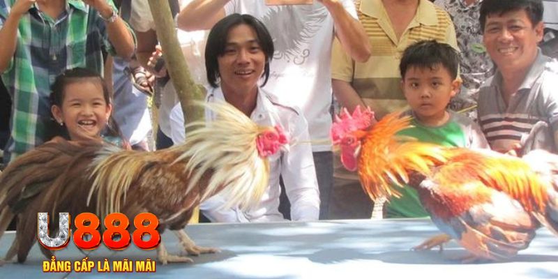 ae888 lan mơ thấy nổ hũ đánh con gì