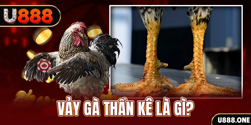 ae888 lan xổ số miền bắc thứ tư hàng tuần