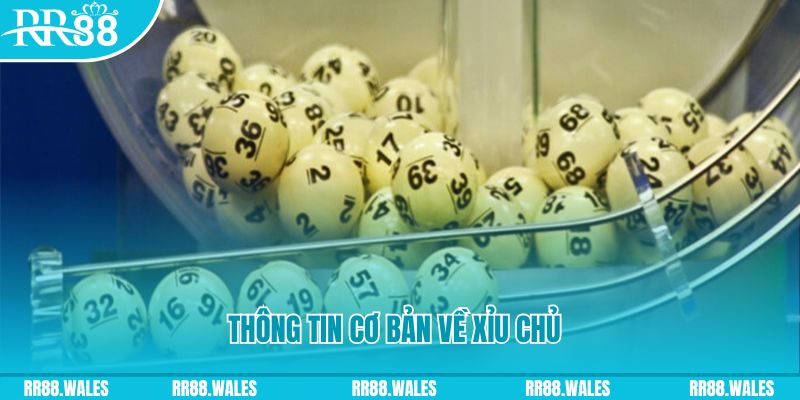 ae888 lan baccarat long bảo là gì