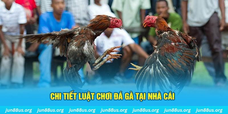 ae888 lan đăng nhập sòng bạc uy tín