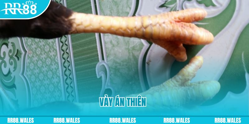 ae888 lan who wants to be a millionaire slot