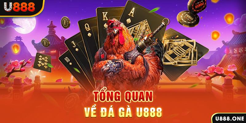 ae888 lan baccarat có lừa đảo không